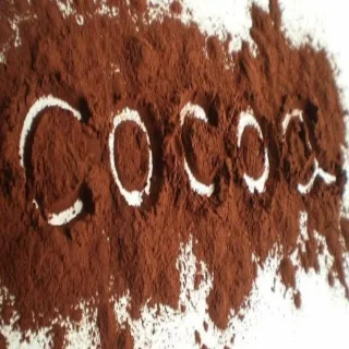 Cocoa Powder / Chocolate Powder (1 Pcs)
