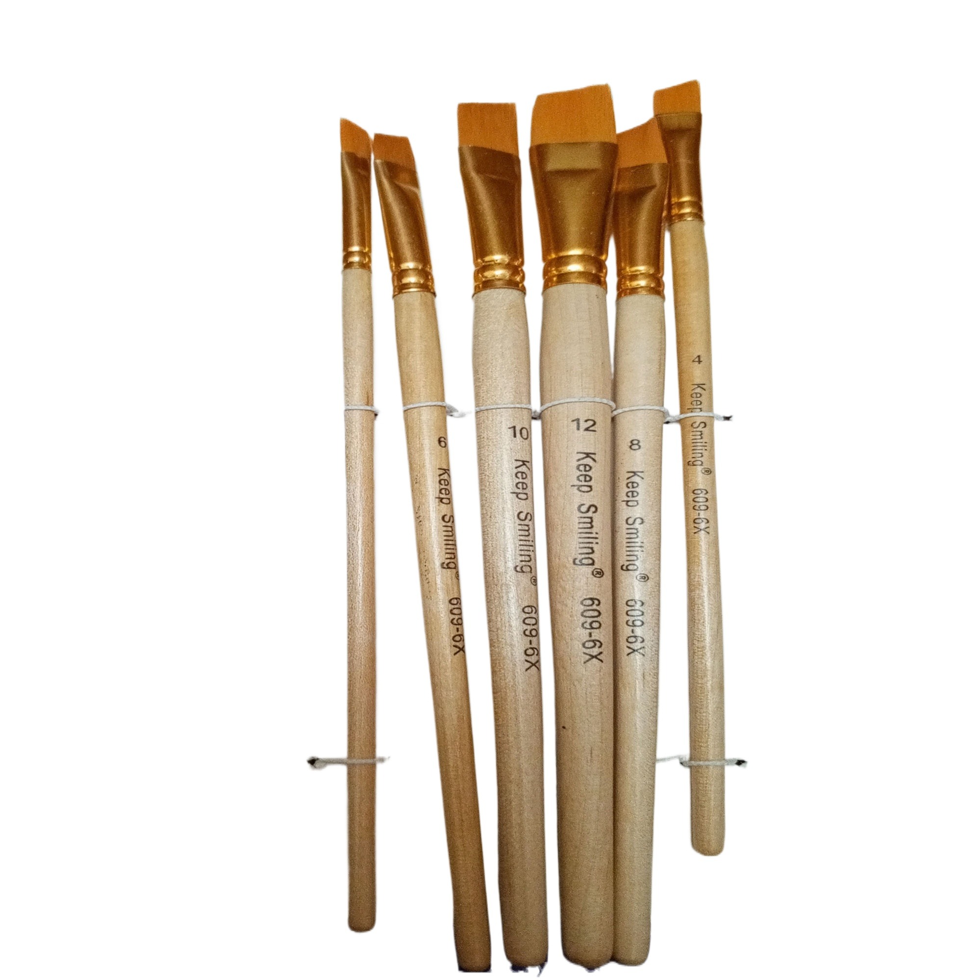 Professional Art Angle Brush Set